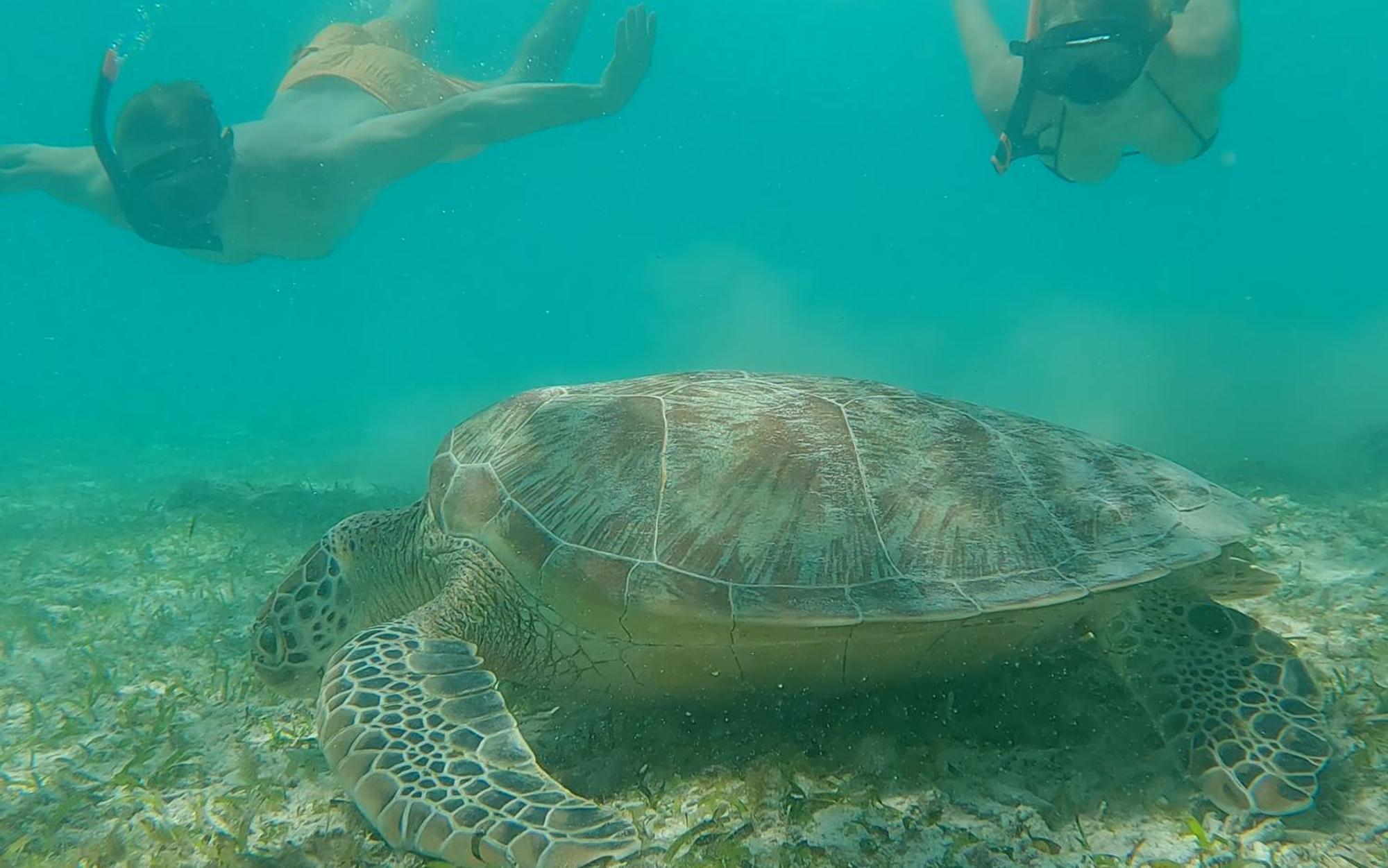 Vila Ombak Gili Trawangan Esterno foto