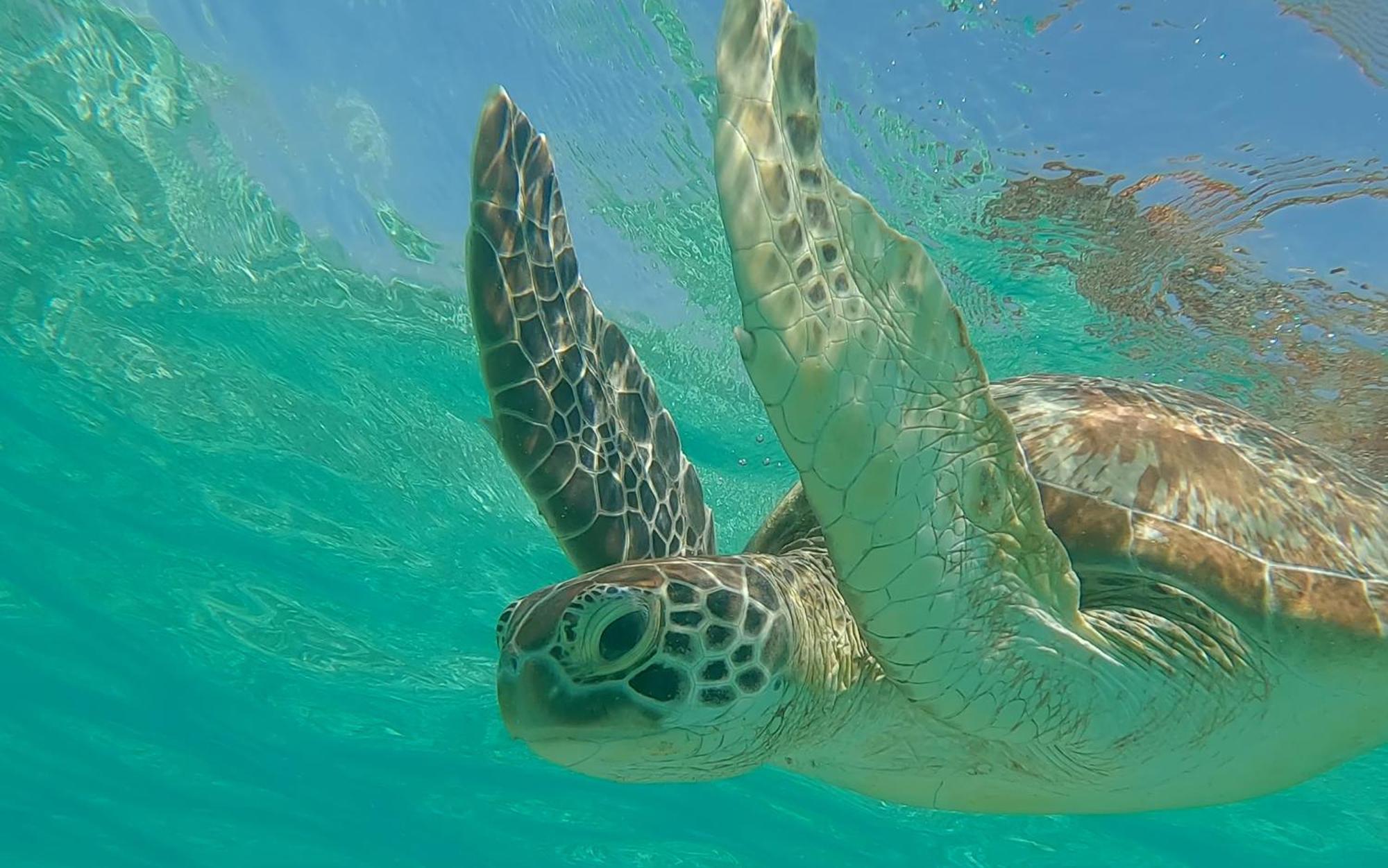 Vila Ombak Gili Trawangan Esterno foto